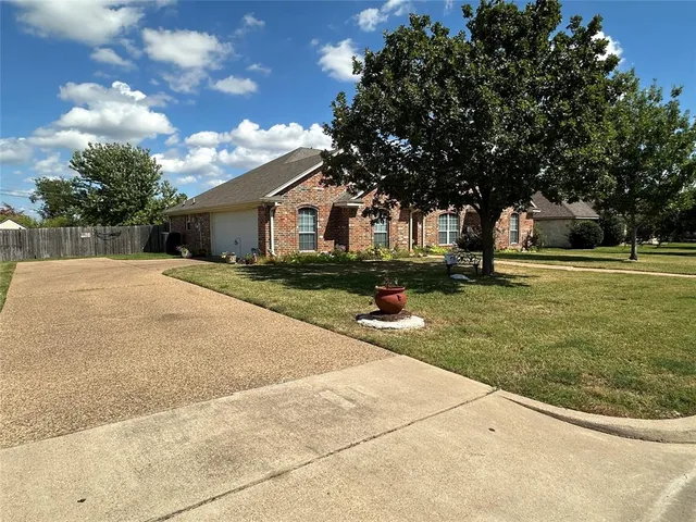 a street view with large trees
