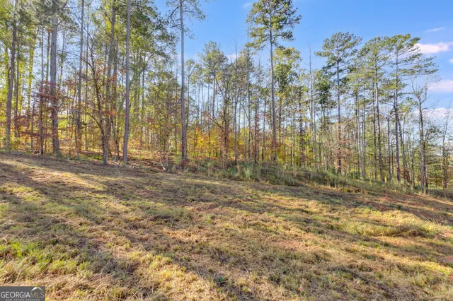 a view of dirt yard with large trees