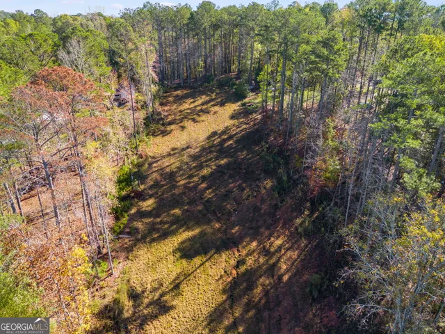 a view of a yard with trees