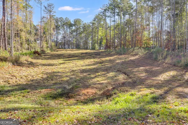 a view of road with large trees
