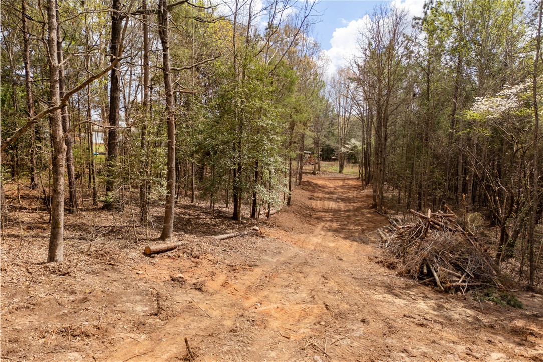 Tbd Gray Stroke Lane Pickens, SC 29671 - Photo 7 of 9 Discover a tranquil woodland property, perfect for your private oasis.