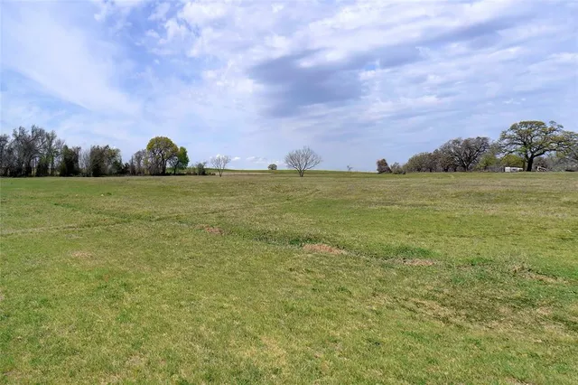 a view of a field with an ocean