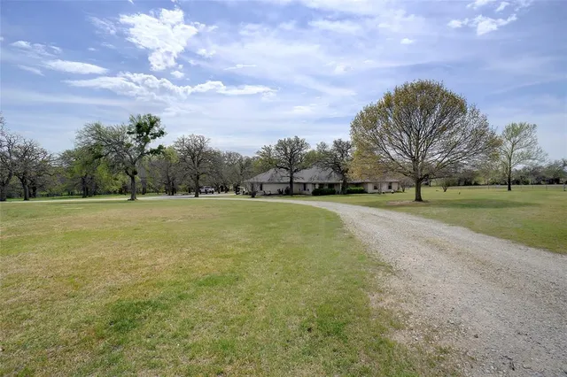 a view of a field with of trees