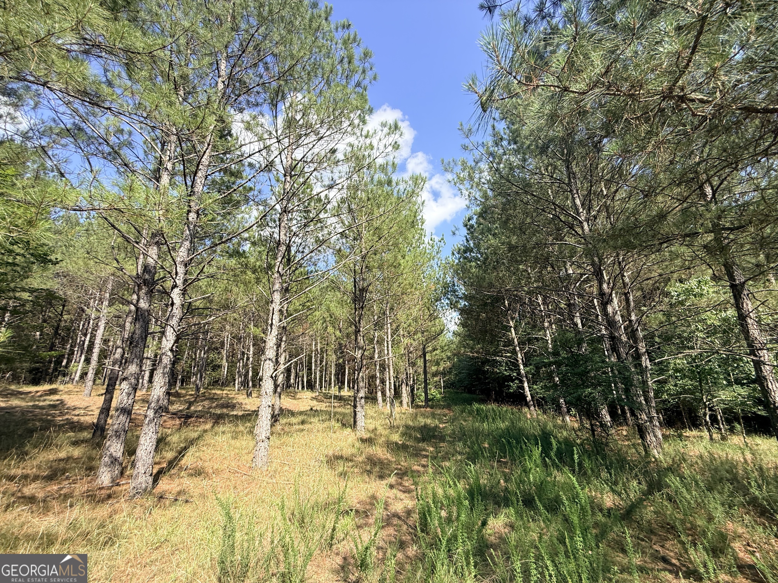1 Bethesda Church Road Lexington, GA 30648 - Photo 60 of 78