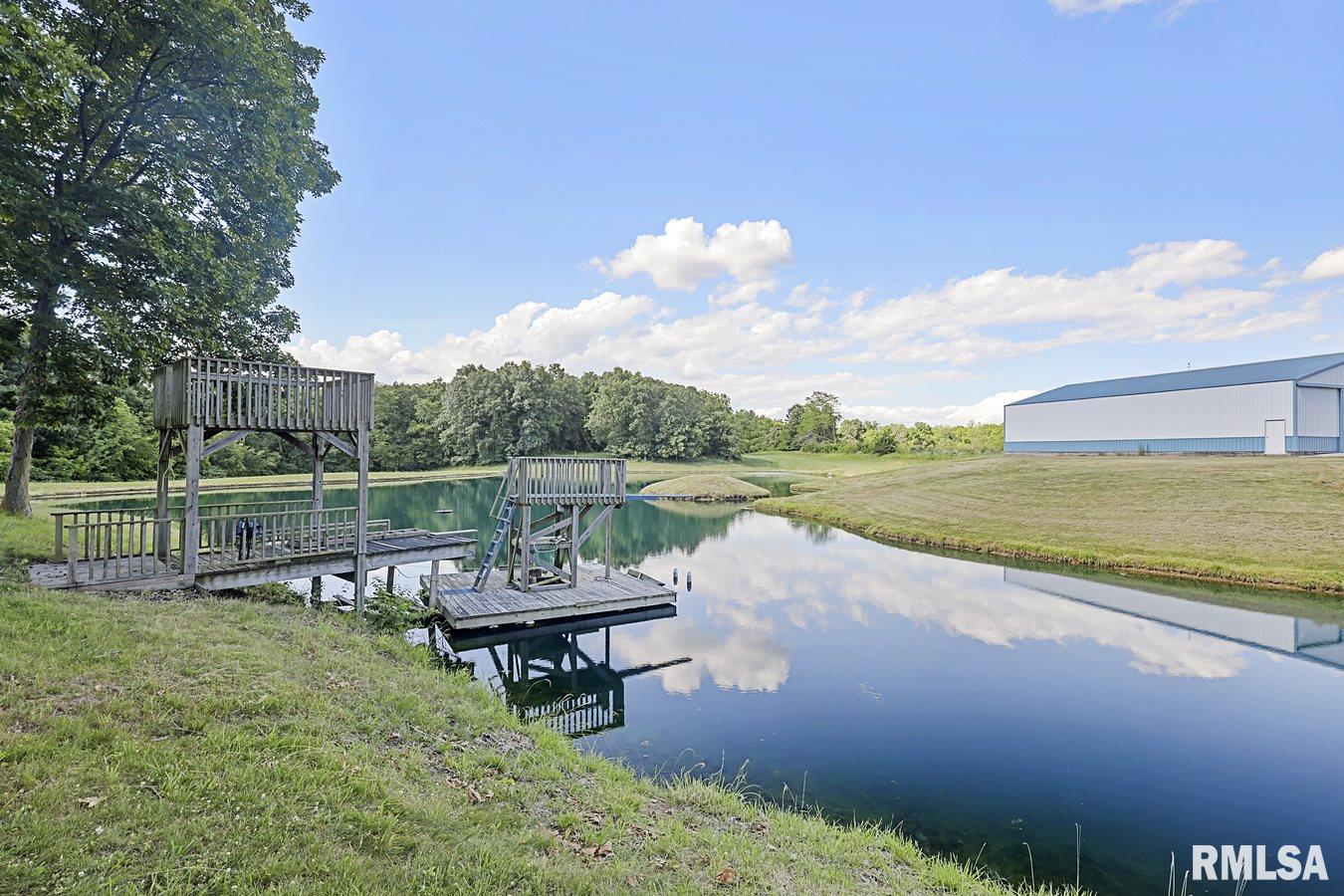 10602 Blooming Grove Road Palmyra, IL 62674 - Photo 9 of 50