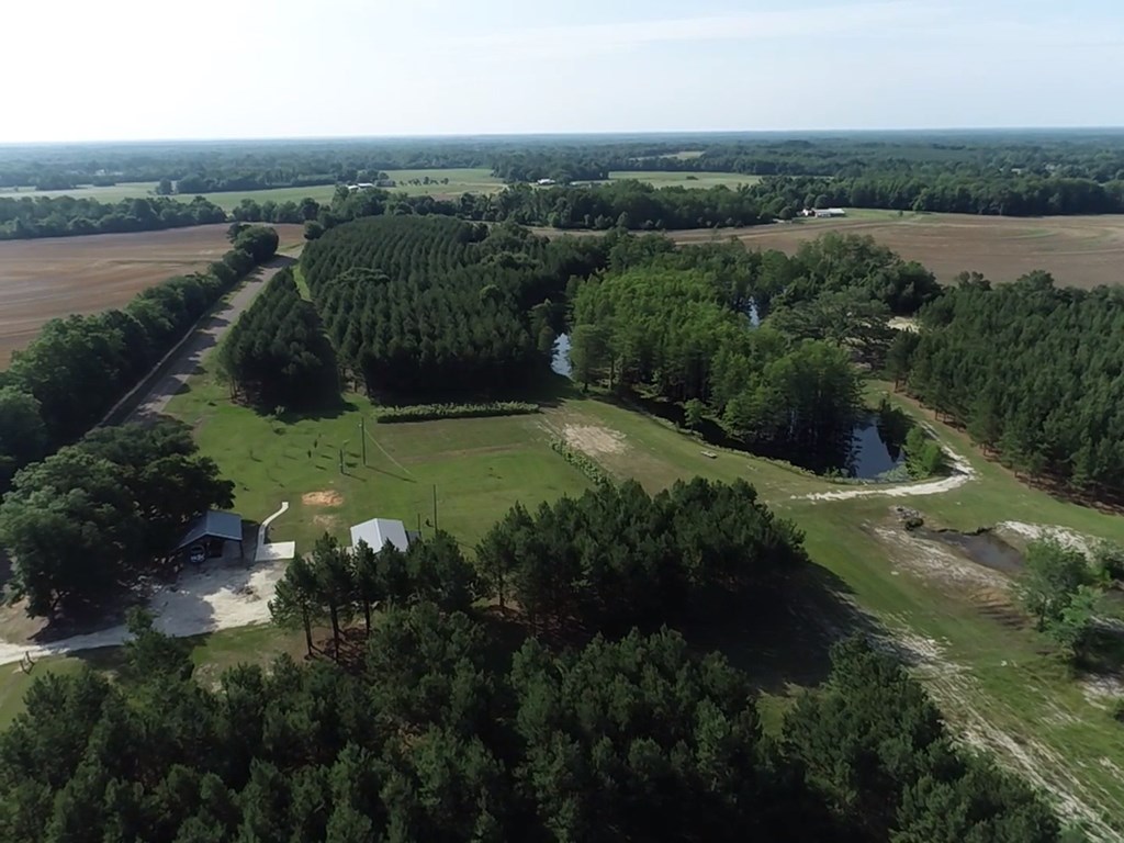 3876 D D Hodge Road Cottonwood, AL 36320 - Photo 44 of 48