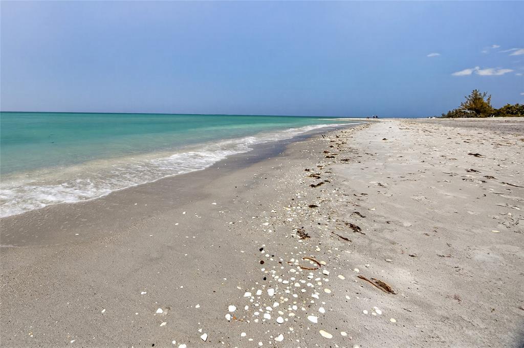 6035 Manasota Key Road Englewood, FL 34223 - Photo 43 of 54 a view of a beach and a yard