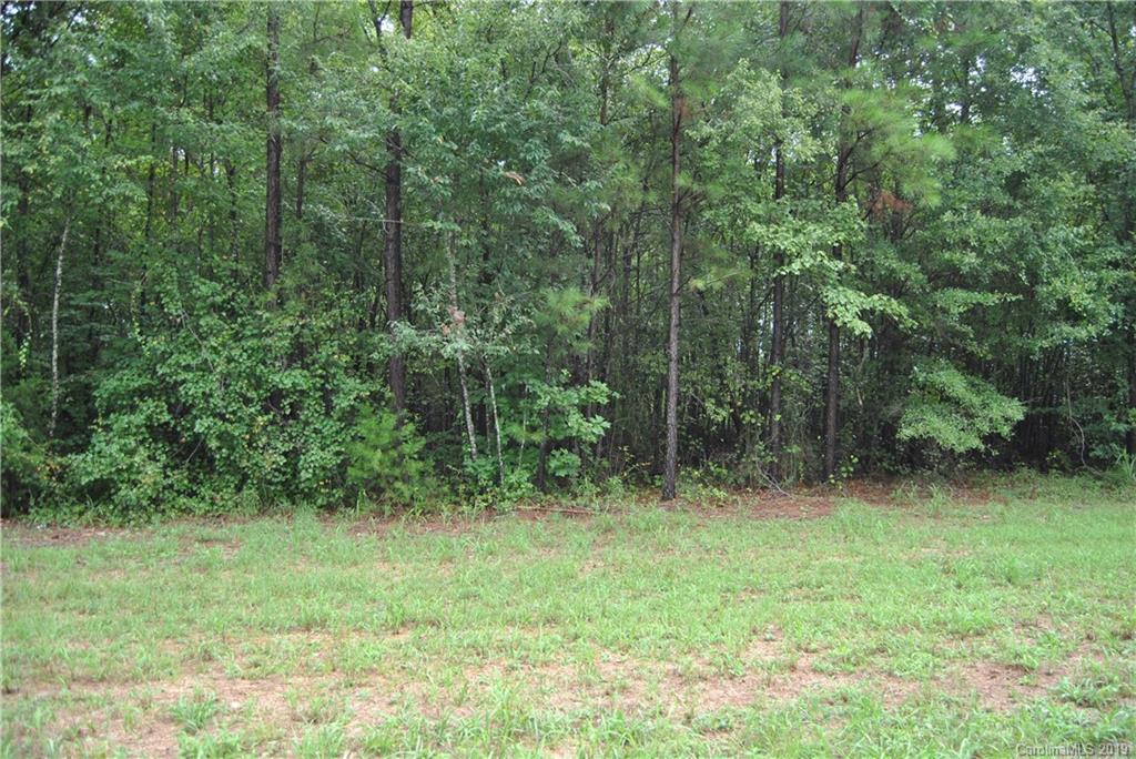 0 Philadelphia Church Road Lincolnton, NC 28092 - Photo 1 of 4 Gallery Image 1