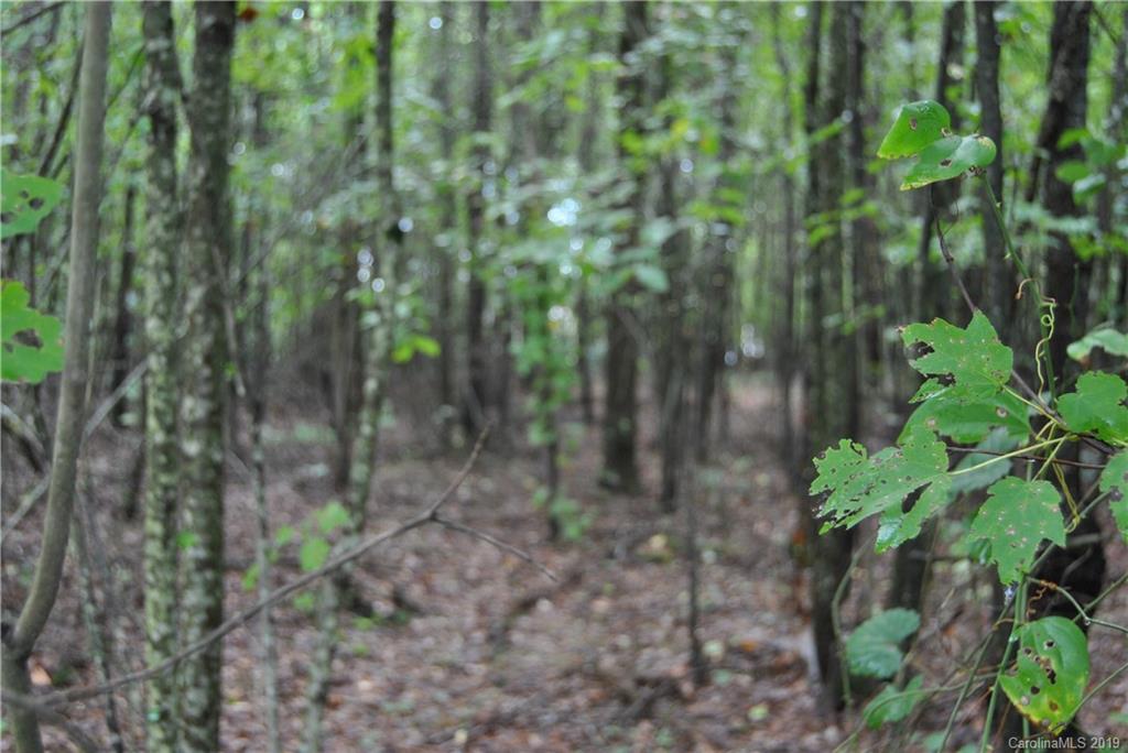 0 Philadelphia Church Road Lincolnton, NC 28092 - Photo 2 of 4 Gallery Image 2