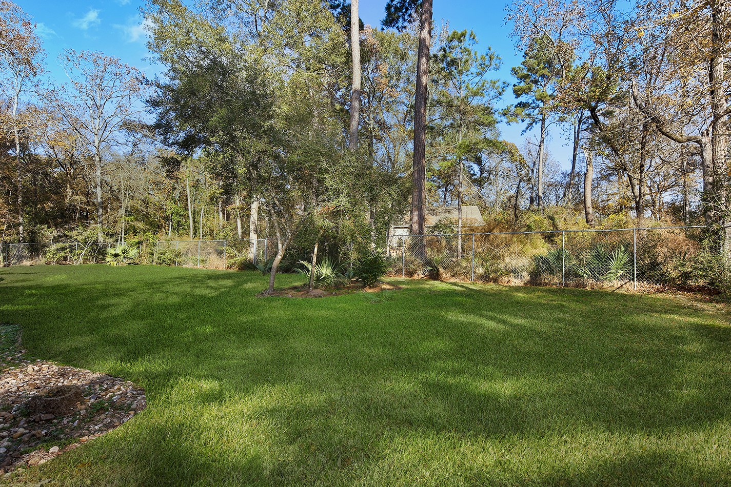 44 Lake Forest Circle Conroe, TX 77384 - Photo 36 of 49 a view of field with tall trees