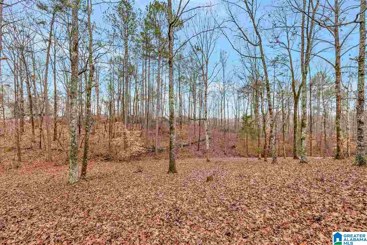 89 Walden Road Columbiana, AL 35051 - Photo 35 of 41