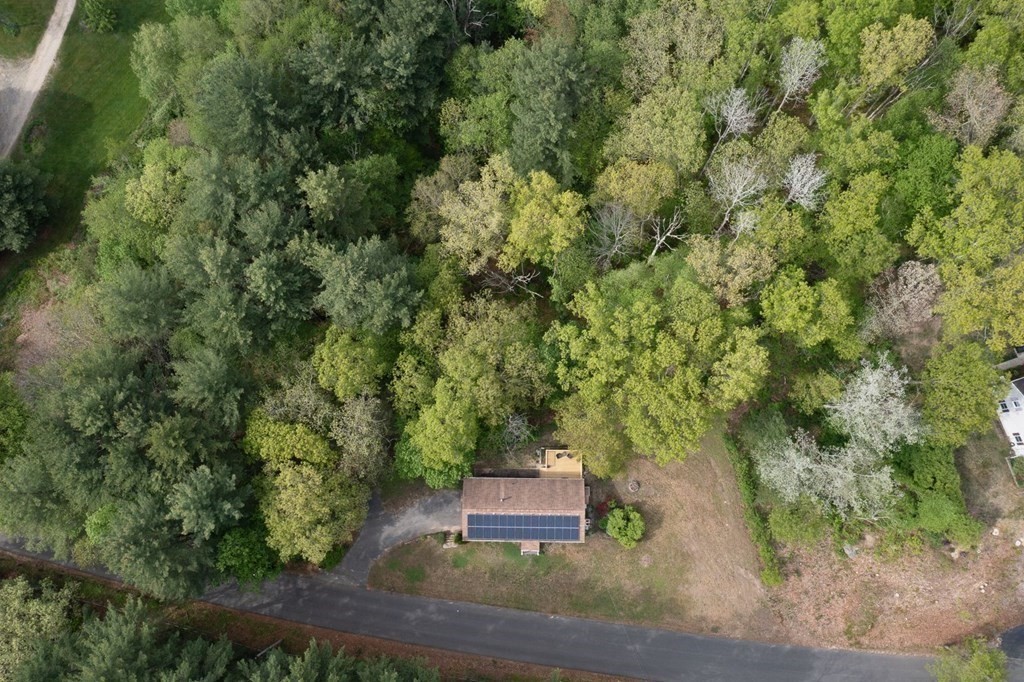 516 Old Wales Road Monson, MA 01057 - Photo 12 of 36 a view of a yard with plants