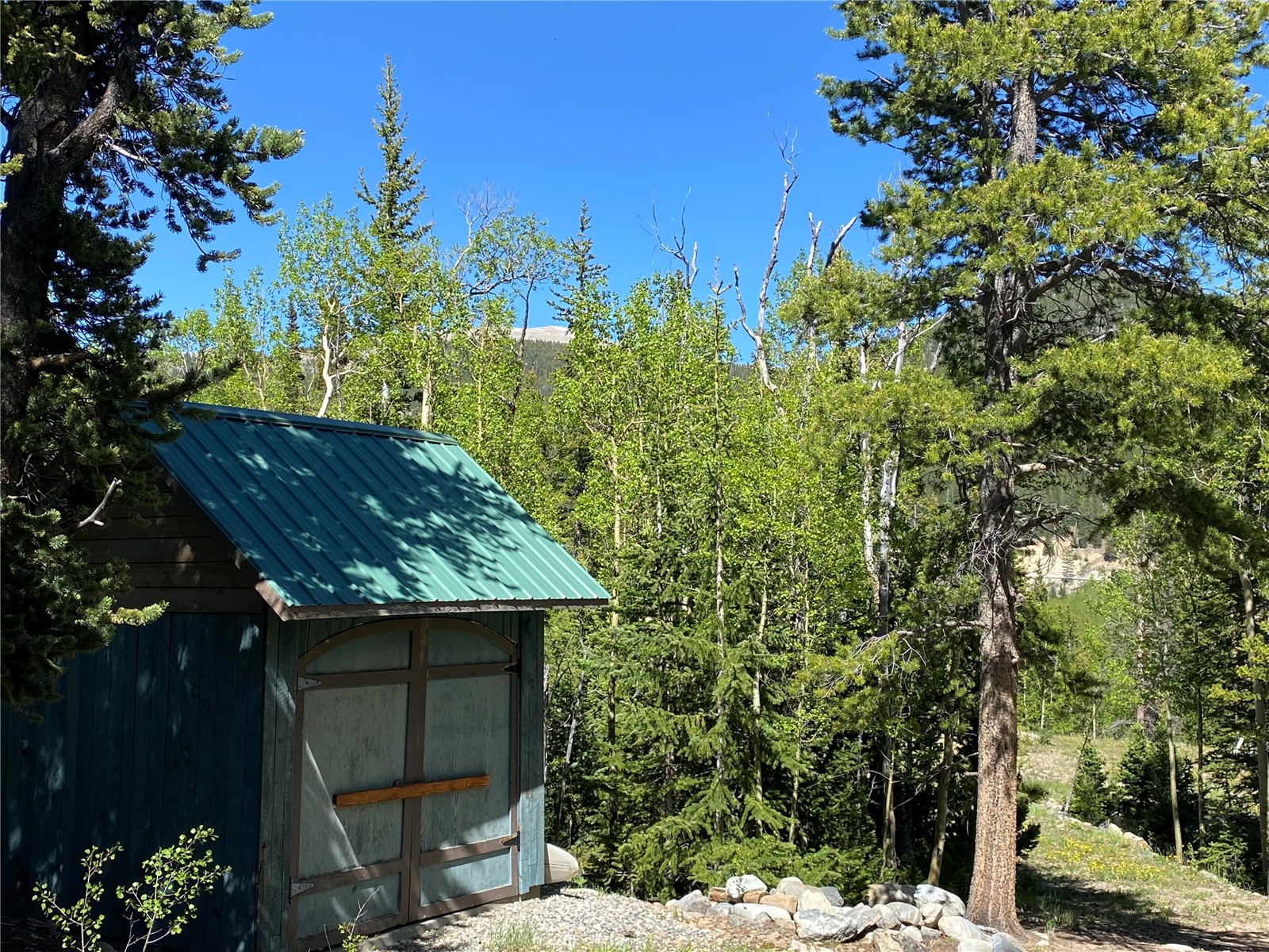 522 Quartzville Road Alma, CO 80420 - Photo 38 of 46