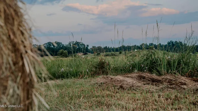 $772,200 | 1458 Hickory Little Rock Road, Hickory, MS 39332