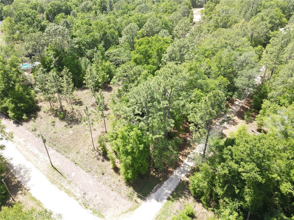 29 Southwest Sw Lane Ocala, FL 34481 - Photo 3 of 11 a view of a yard