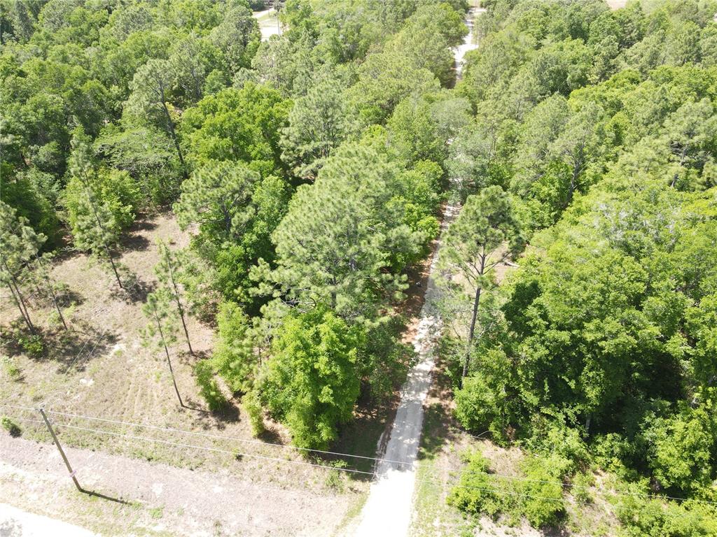 29 Southwest Sw Lane Ocala, FL 34481 - Photo 4 of 11 a view of a yard