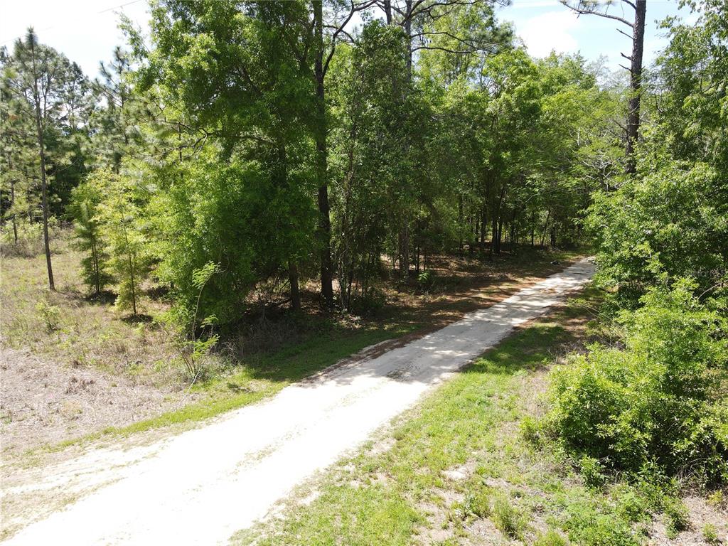 29 Southwest Sw Lane Ocala, FL 34481 - Photo 6 of 11 a view of a yard with a tree