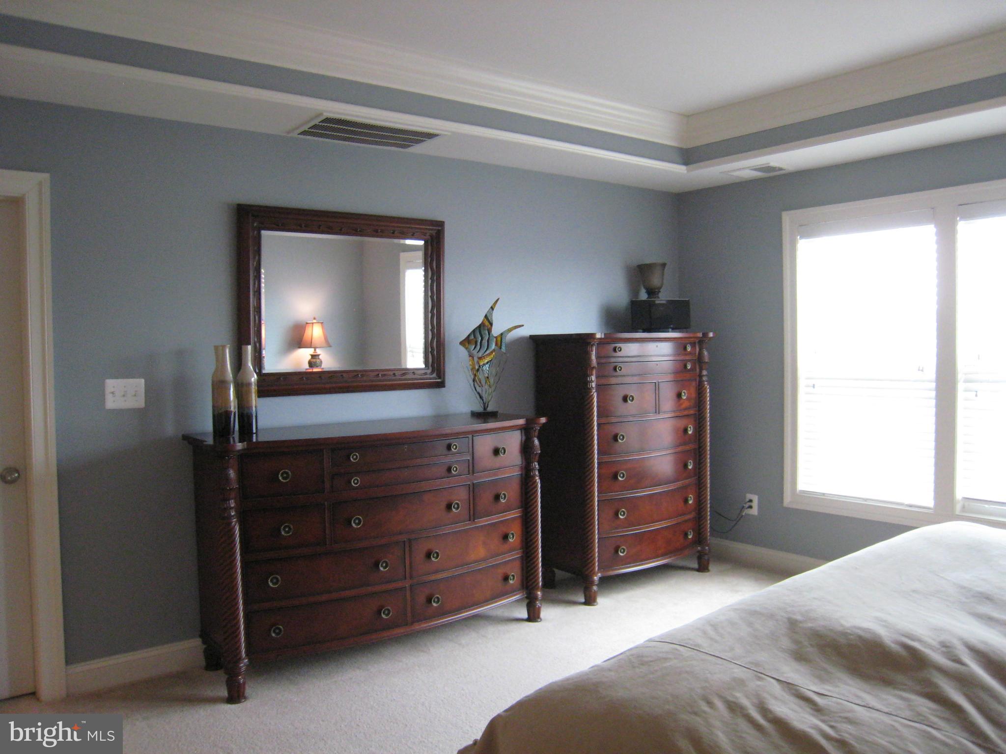 9106 Ribbon Falls Loop Bristow, VA 20136 - Photo 11 of 20 Bath (Master)