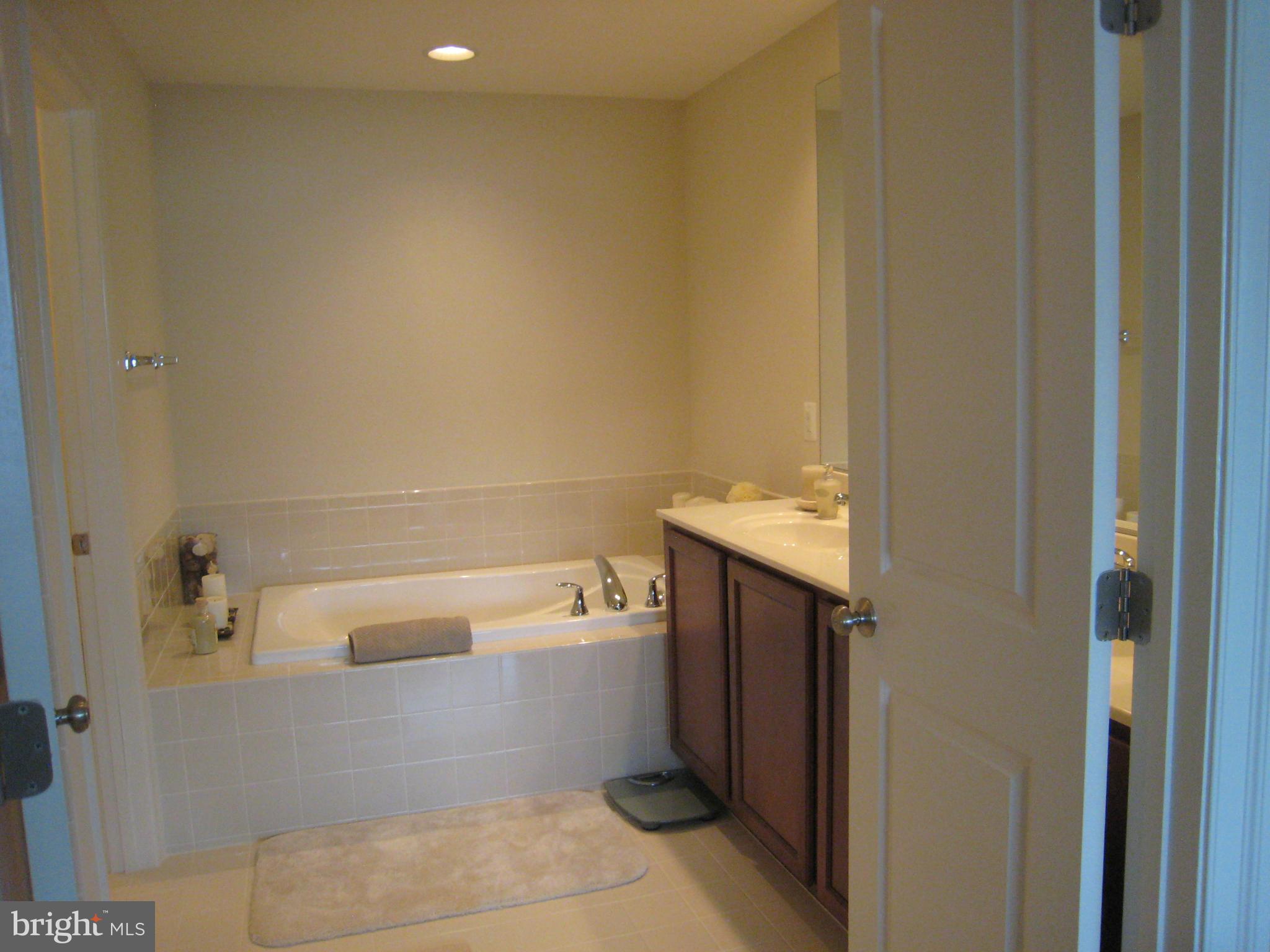 9106 Ribbon Falls Loop Bristow, VA 20136 - Photo 12 of 20 Bath (Master)