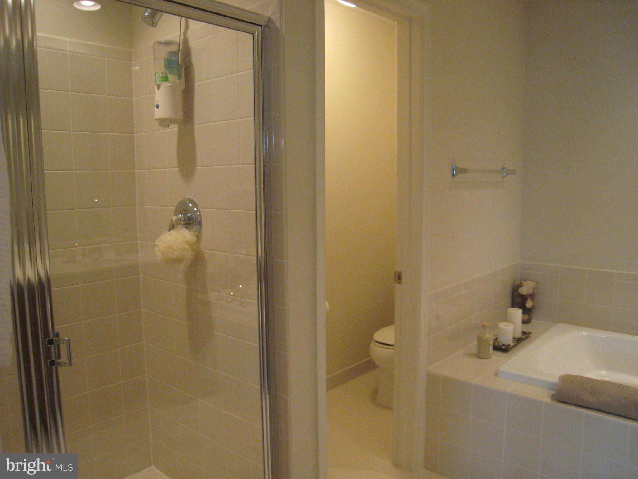 9106 Ribbon Falls Loop Bristow, VA 20136 - Photo 13 of 20 Bath (Master)
