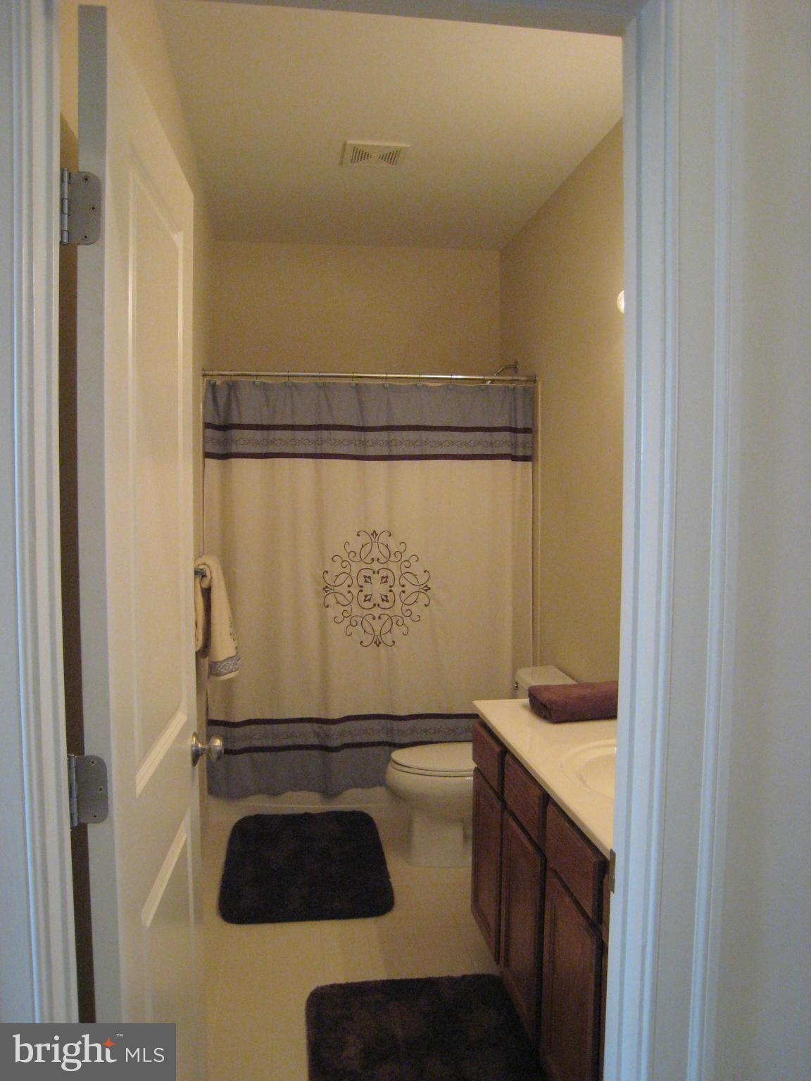9106 Ribbon Falls Loop Bristow, VA 20136 - Photo 16 of 20 Bath