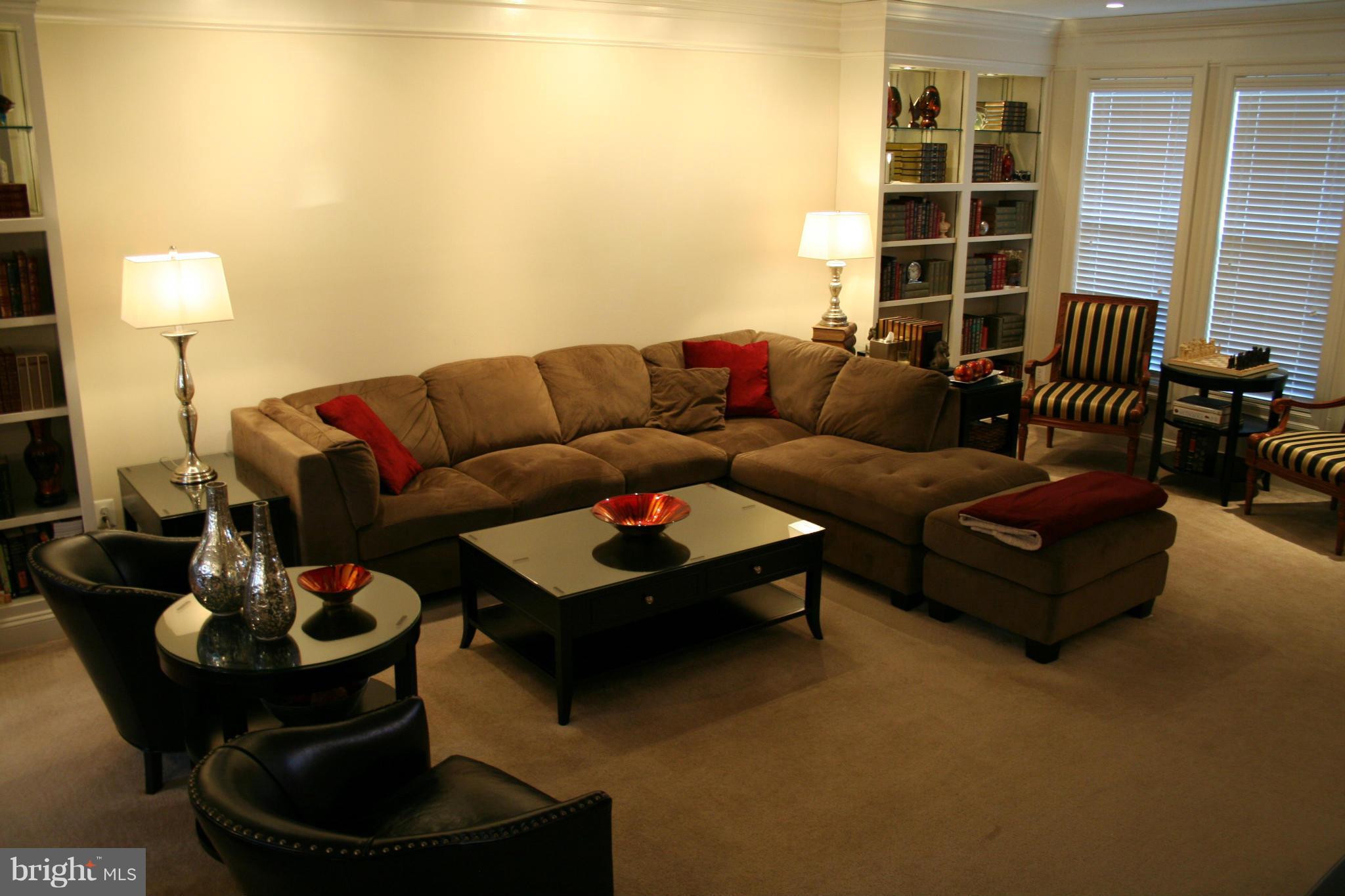 9106 Ribbon Falls Loop Bristow, VA 20136 - Photo 5 of 20 Family Room