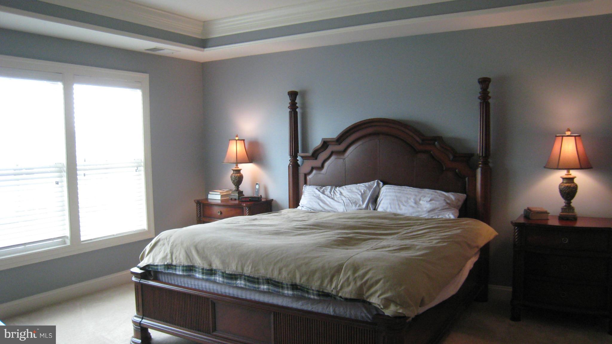 9106 Ribbon Falls Loop Bristow, VA 20136 - Photo 10 of 20 Bedroom (Master)