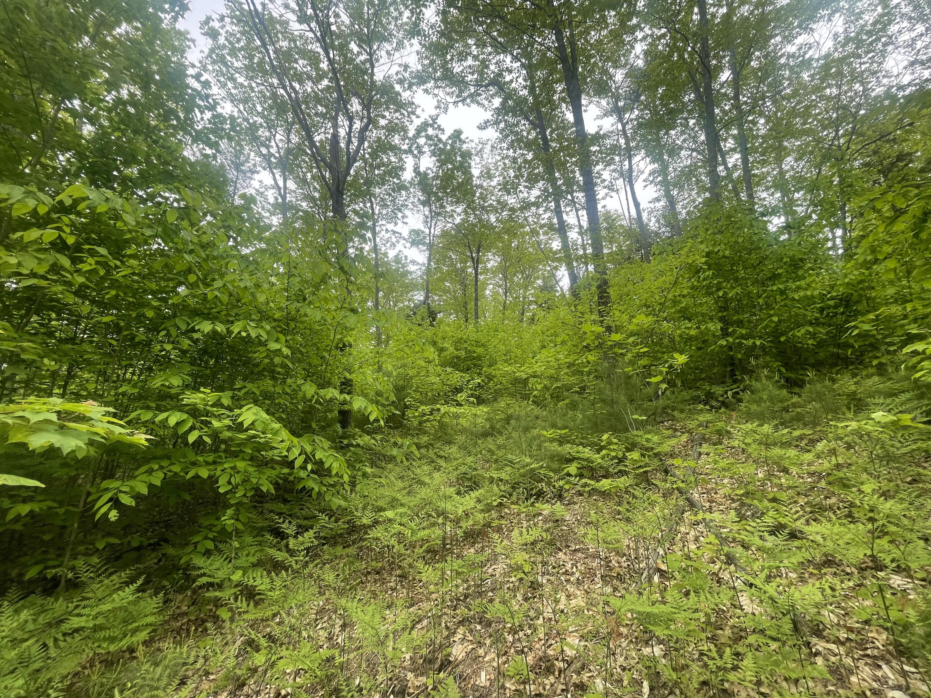 M13-l9-2 Intervale Road Bethel, ME 04217 - Photo 6 of 7 IMG_7552