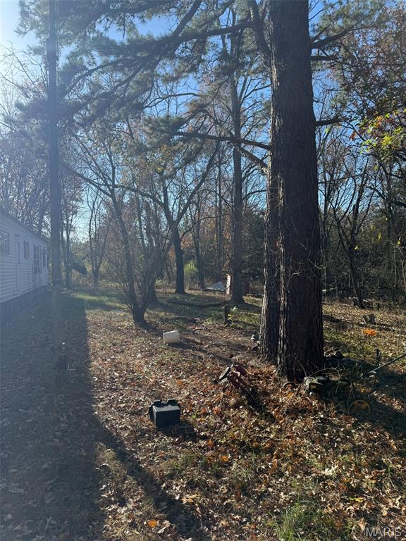 26090 Radar Road Waynesville, MO 65583 - Photo 4 of 10