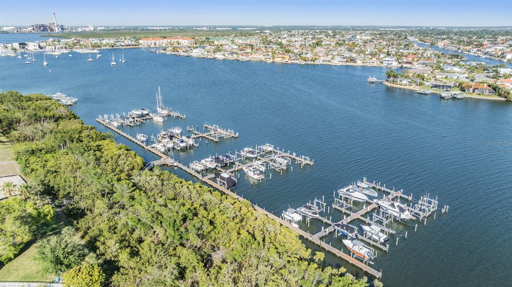 1422 Jumana Loop Apollo Beach, FL 33572 - Photo 53 of 73