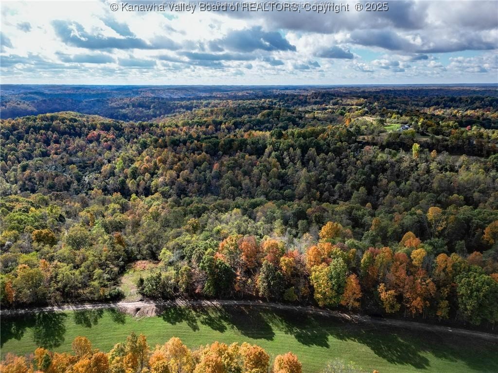 0 Baier Ridge Road Cottageville, WV 25239 - Photo 7 of 16 Gallery Image 7