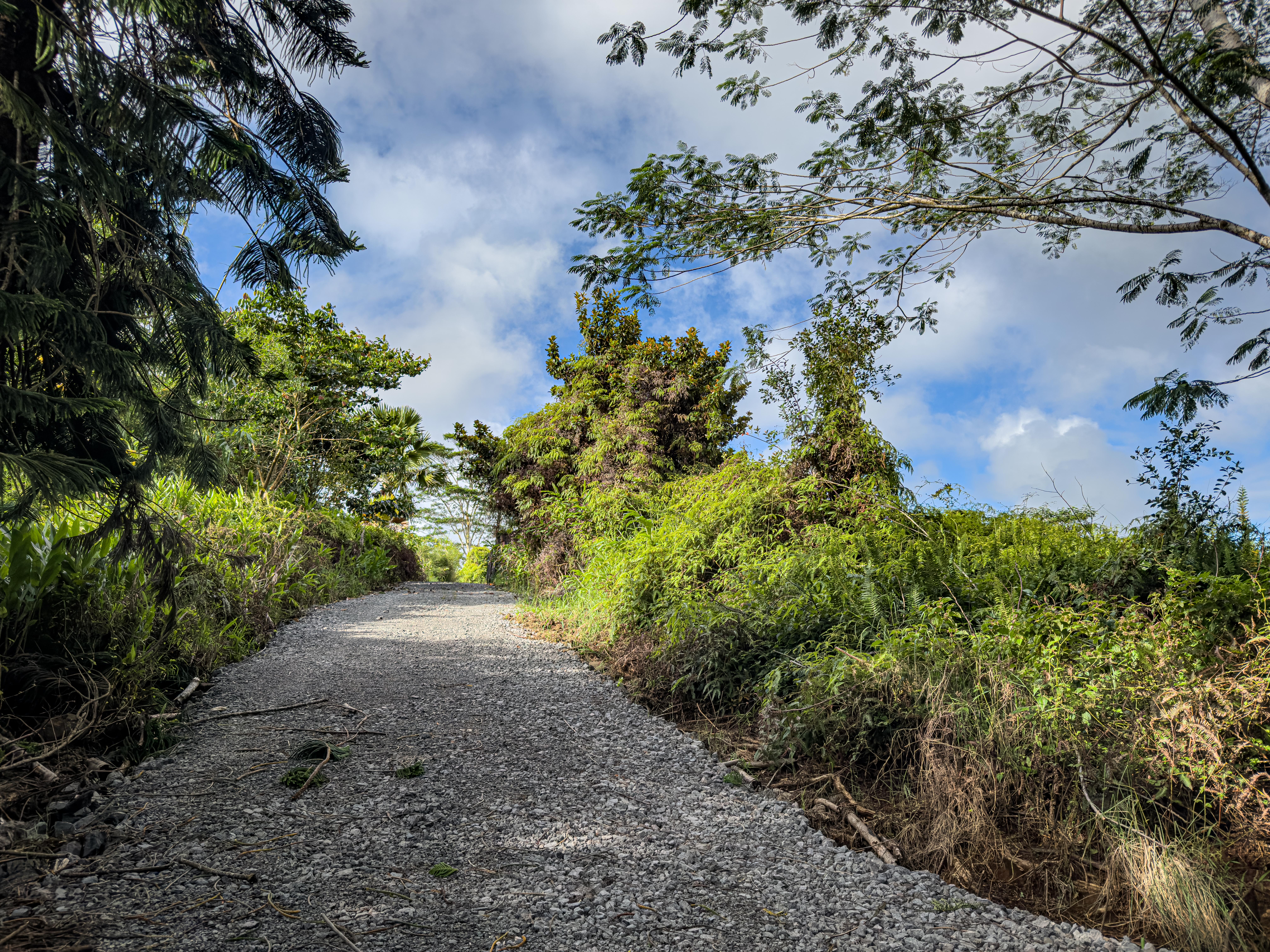 2 Kaiwiki Road Hilo, HI 96720 - Photo 3 of 6