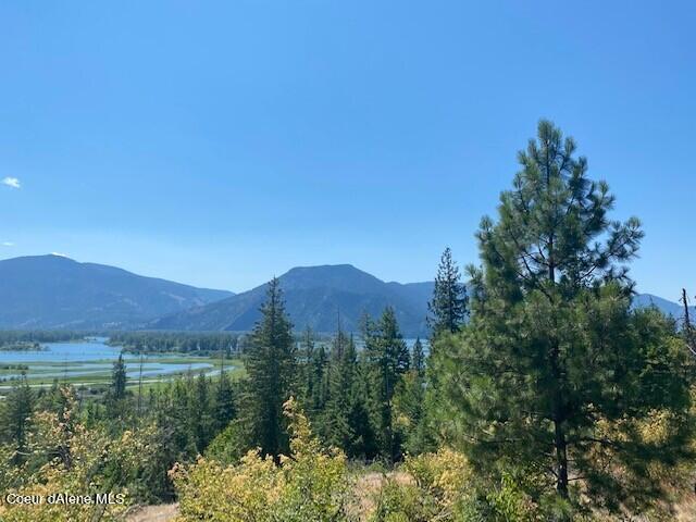 Lot L Highway 200 Hope, ID 83836 - Photo 5 of 26 Monarch View 3