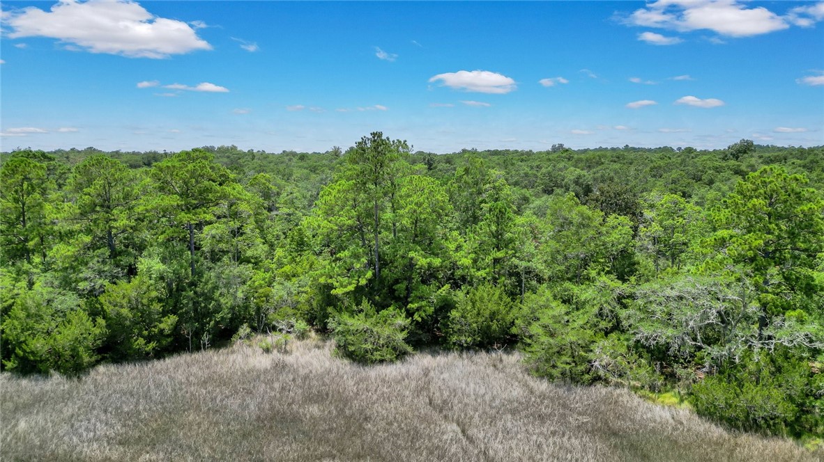 Lot 59 St Joseph's Point Darien, GA 31305 - Photo 13 of 37