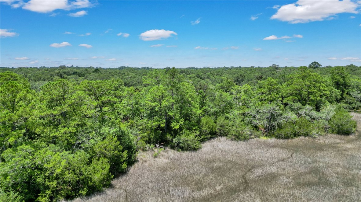Lot 59 St Joseph's Point Darien, GA 31305 - Photo 16 of 37