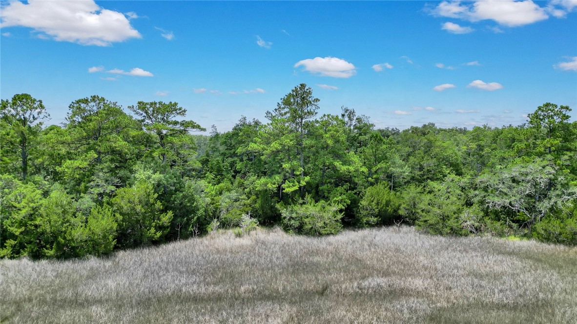 Lot 59 St Joseph's Point Darien, GA 31305 - Photo 17 of 37