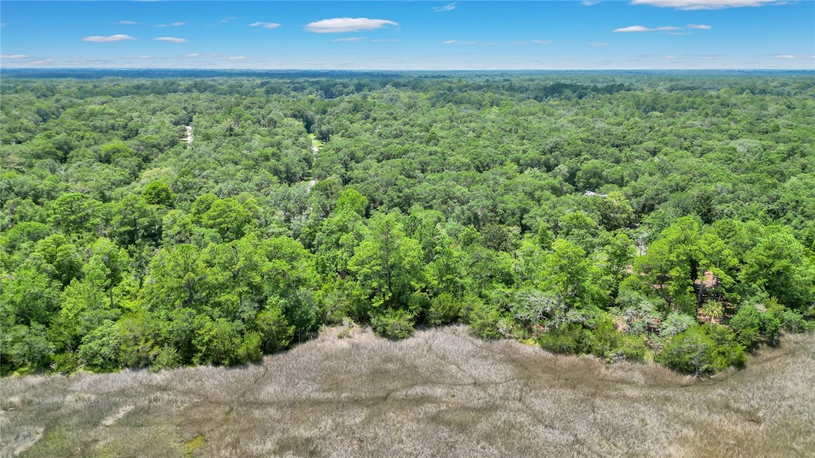 Lot 59 St Joseph's Point Darien, GA 31305 - Photo 18 of 37