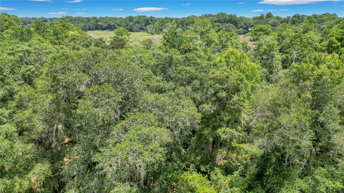 Lot 59 St Joseph's Point Darien, GA 31305 - Photo 4 of 37