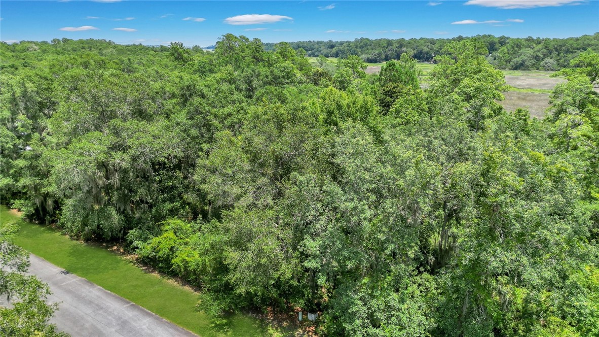 Lot 59 St Joseph's Point Darien, GA 31305 - Photo 6 of 37