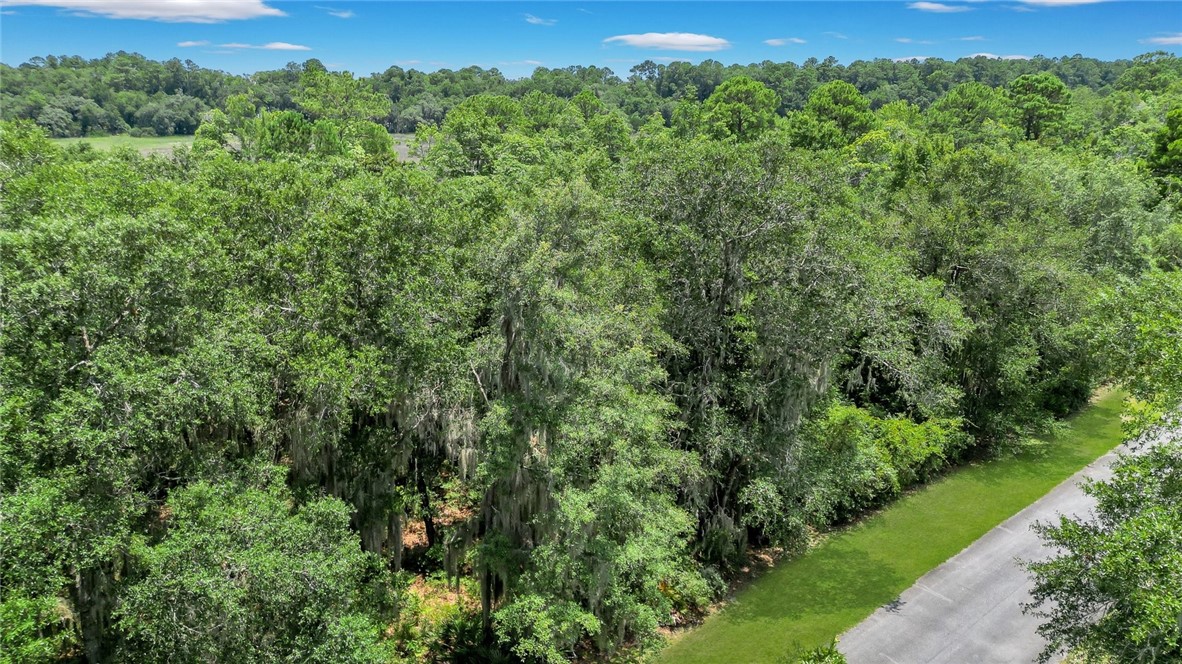 Lot 59 St Joseph's Point Darien, GA 31305 - Photo 8 of 37