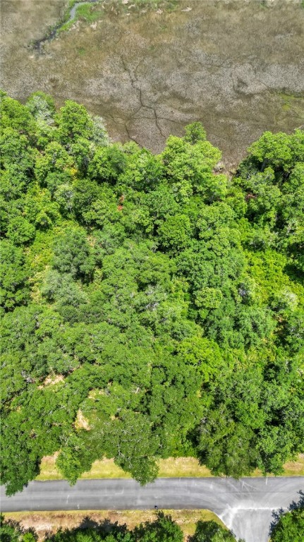 Lot 59 St Joseph's Point Darien, GA 31305 - Photo 9 of 37