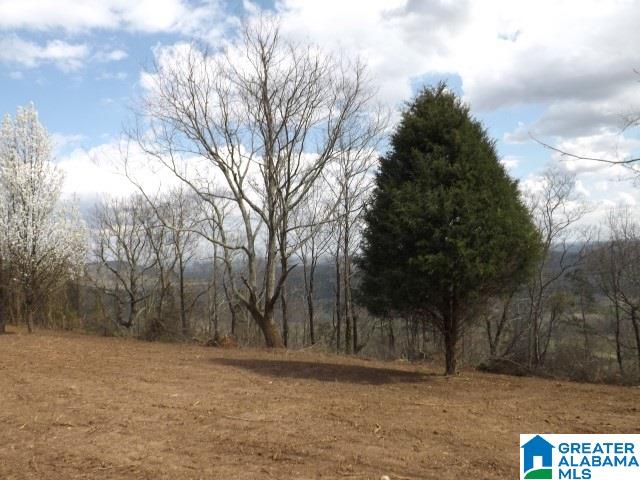 8455 Pine Mountain Road Springville, AL 35146 - Photo 27 of 39 Gallery Image 27