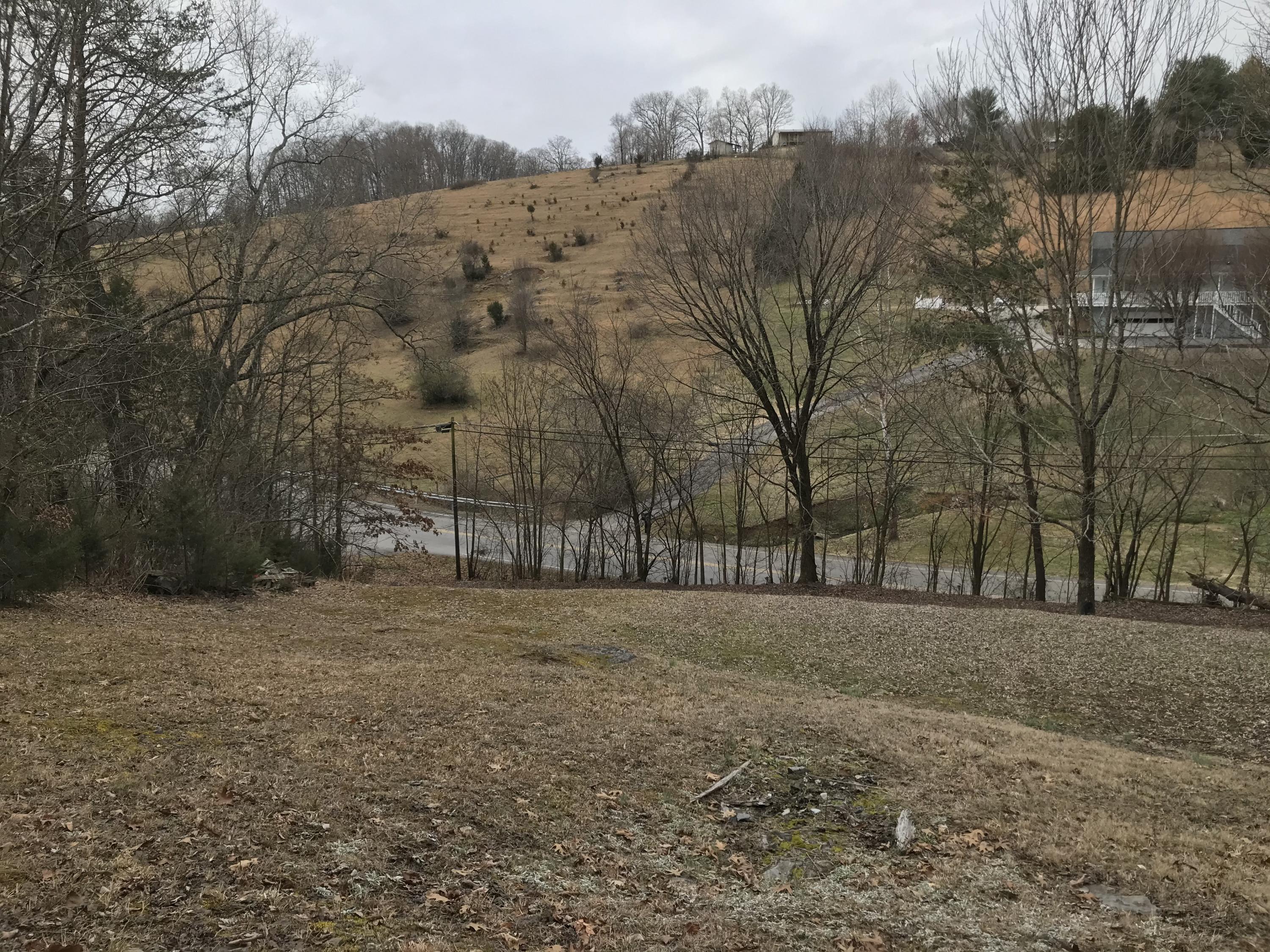 3107 Forest View Road Kingsport, TN 37660 - Photo 31 of 35 IMG_0982