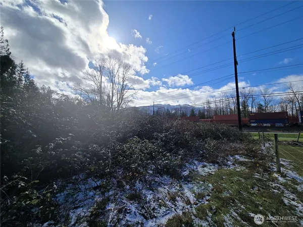 a view of a yard with a tree
