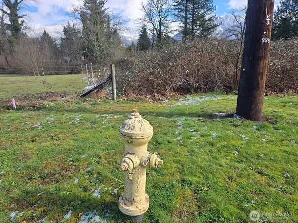 a view of a garden with a fountain