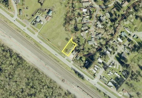 a picture of a wall with a plant