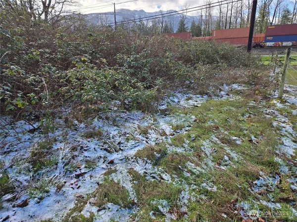 a view of a yard with a tree