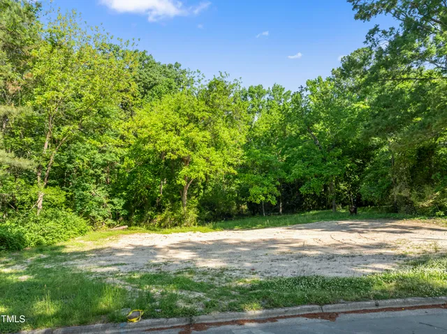 a view of a yard with a tree