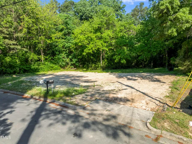 a view of a tree in a garden