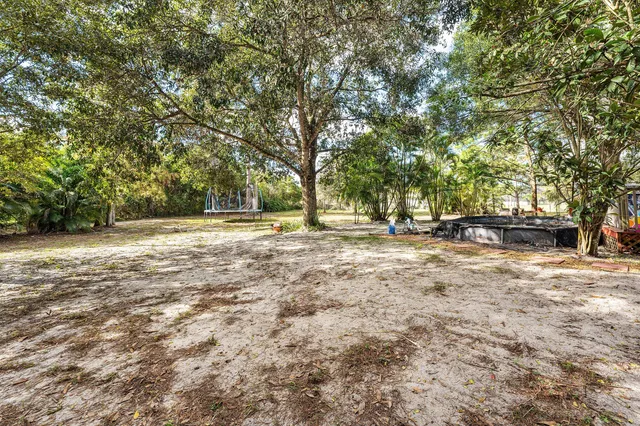 a view of outdoor space with yard and trees